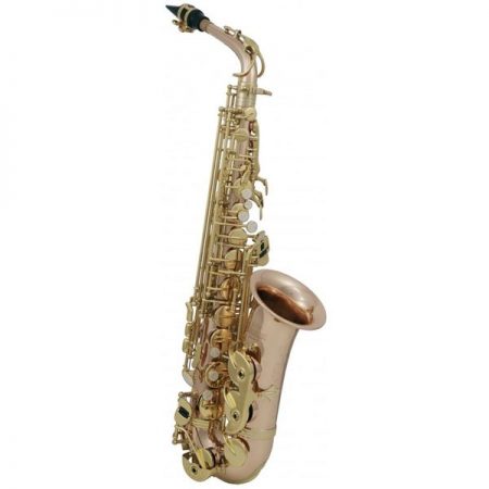 Saxofon Alto Roy Benson AS 202G